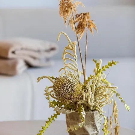 & Restaurant - Son De Mar פורטו-וישיו