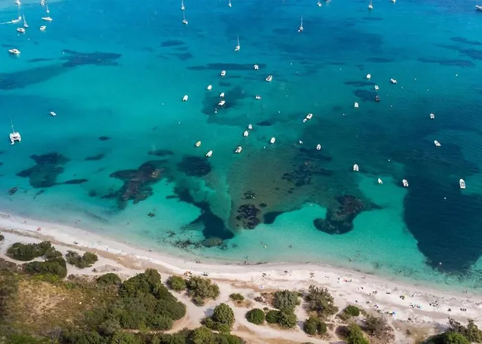 Hotel & Restaurant - Son De Mar Porto-Vecchio (Corsica)