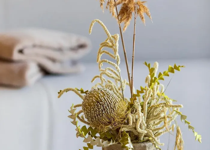 & Restaurant - Son De Mar Porto-Vecchio (Corsica)